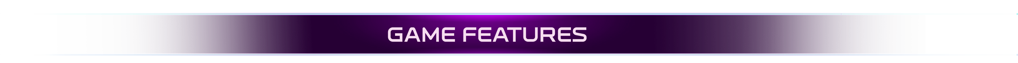 Features Section